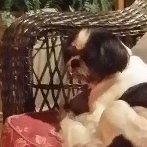 Meet your Posher, Renee